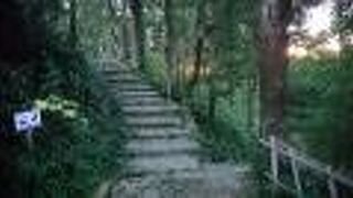 長宗我部元親が住んだ城