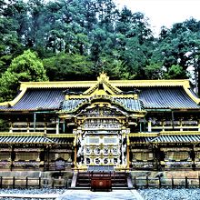 限定本　日光東照宮の文様 日光東照宮の装飾文様 植物・鳥類 | Graphic-Sha Publishing