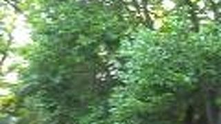 人は戻ってきている