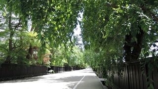 新緑の季節も美しい