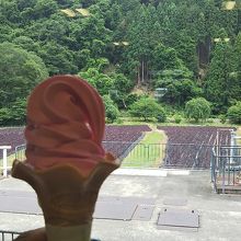 赤紫蘇文のソフトクリーム