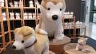 秋田犬がお出迎え