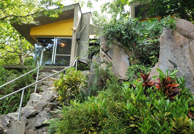 珈琲がおいしいのと飼い猫がかわいかった！