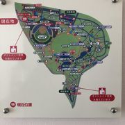 佐賀県立森林公園 クチコミ アクセス 営業時間 佐賀市 フォートラベル 佐賀県立森林公園 クチコミ アクセス 営業時間 佐賀市 フォートラベル