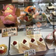 ショーケース