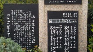 可愛らしいかもめの姿も