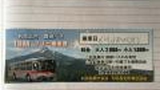 定期観光バスは運休だった