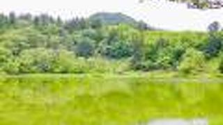 静かで綺麗な沼でした