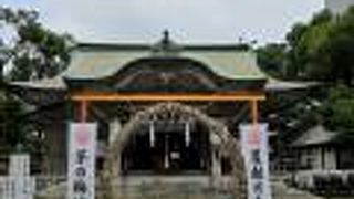 ひっそりとしてます