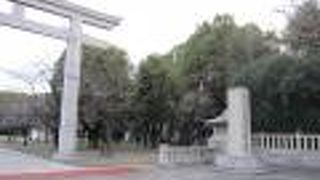 散歩に来ました