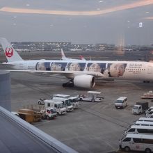 A350に乗りました♪写真は嵐とコラボ