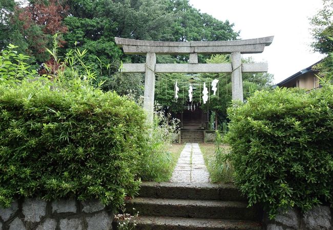 若い女性がちらほら