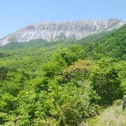 大山南壁を望む