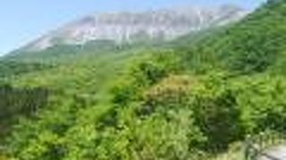 大山南壁を望む