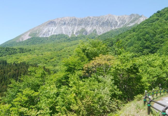 大山南壁を望む