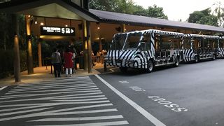 夜間専門の動物園