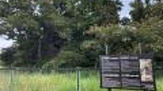 周囲は立入禁止