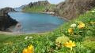 荒々しいへき地の風景（7月上旬は花が咲いてきれい）