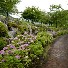 温泉の周囲は公園になっており、散策も気持ちいいです。