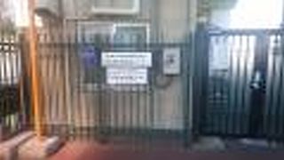 金網越しに見学