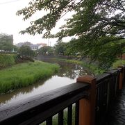 鶴岡城址の東側を流れているのです。