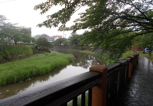 鶴岡城址の東側を流れているのです。