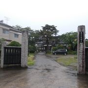 鶴岡公園の南のエリアにあります。