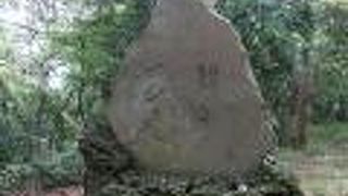 牛久沼に近い場所