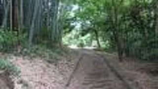 牛久沼の畔に設けられた遊歩道