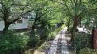 新緑の中の散策コース