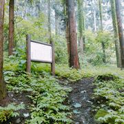 (熊野堂横穴墓群)　お墓の数は、百数十基以上