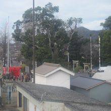 跨道橋から眺める神社の遠景