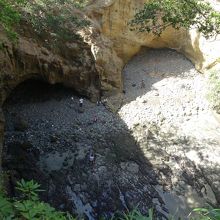 上から見るとハート形