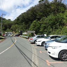 平日なのに車がいっぱい