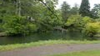 新庄駅から西に約15分程度の場所にあります。