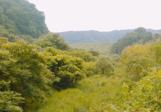 (樽水ダム)　ダムの左岸側(県道沿い)には公園があり、テニス等が出来ます。