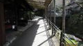 三千院への小径