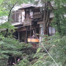 対岸の郭公屋から飛んでくる