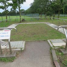公園内