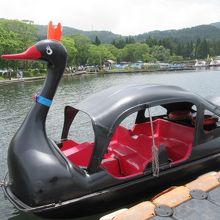 ブラックスワン