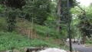 緑豊かな自然を味わえます