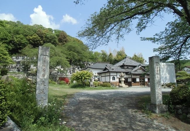 山の緑を背景にした境内や墓地は気持ちの良い眺め