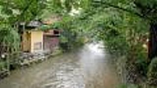 川岸に沿って状況のある景観が続いています