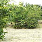 古墳の中に公園がありました