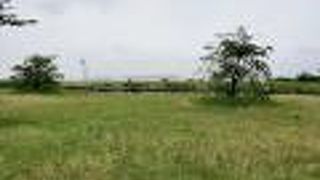 落ち着いた雰囲気の飛行機見学スポット