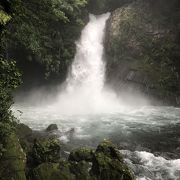 伊豆を代表する観光名所である浄蓮の滝、玄武岩の崖にできた高さ25ｍ、幅7ｍの見事な滝