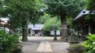 信濃の諏訪大社から歓請された