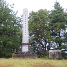 日本スキー発祥の碑（草むらの先にありました・・）