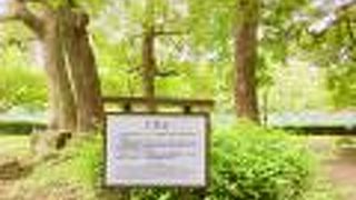 都会の真ん中で登山？