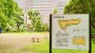 色々な器具が並んでいます